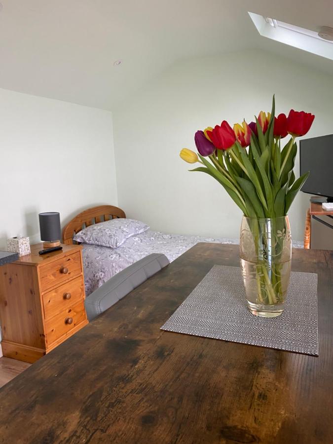 דירות קולצ'סטר Cosy 1 Bed Garden Annexe מראה חיצוני תמונה