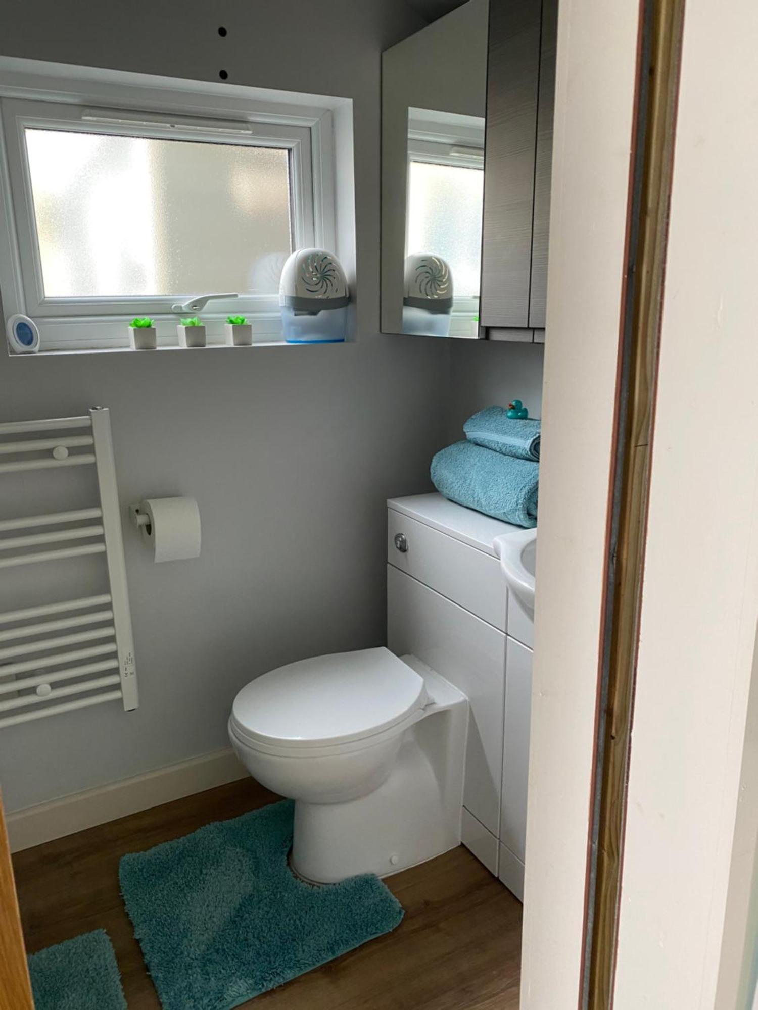 דירות קולצ'סטר Cosy 1 Bed Garden Annexe מראה חיצוני תמונה